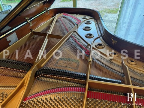 KAWAI KG-6