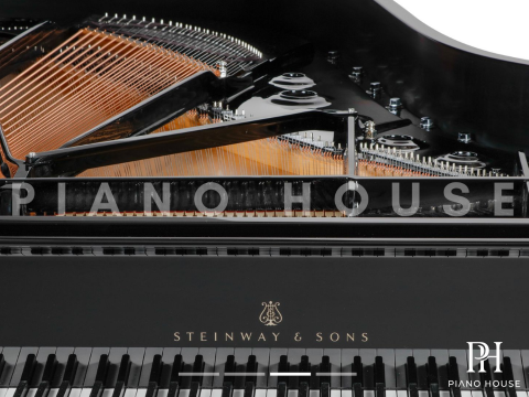 Steinway & Sons - The Jet Noir