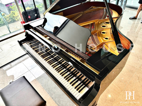 YAMAHA C5A PE Seri 4