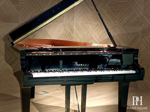 YAMAHA C1X