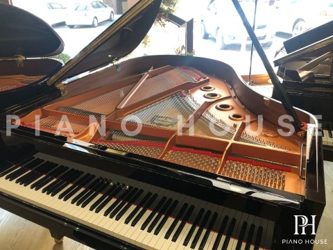 YAMAHA C2X