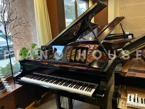 YAMAHA CFX (Next Generation)