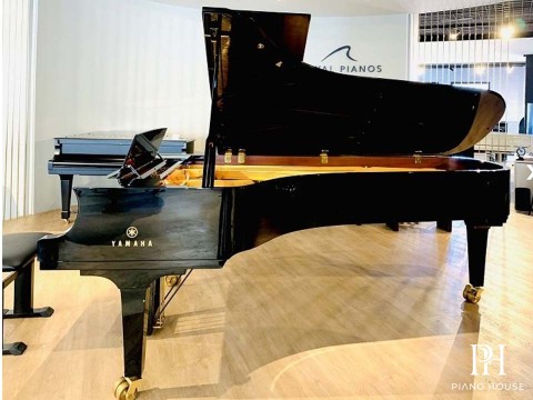 YAMAHA CFX (2010)
