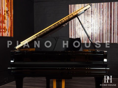 Yamaha G2 Black & Gold Polyester