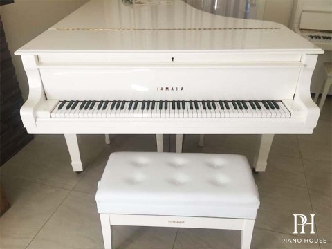 Tìm Hiểu YAMAHA C7 WH