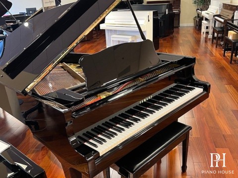 YAMAHA G2