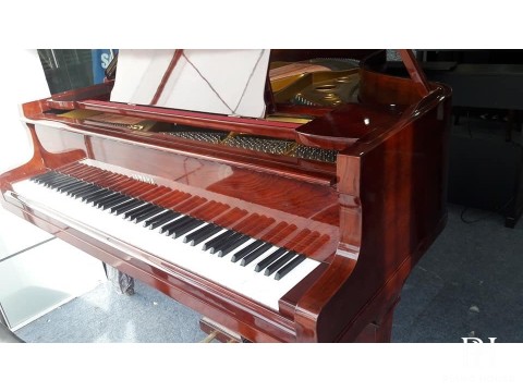 YAMAHA G2 Wn