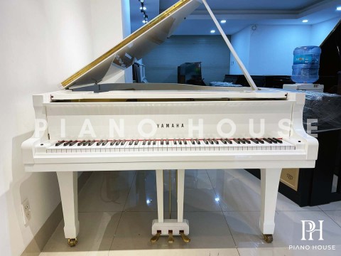 YAMAHA G5 WH