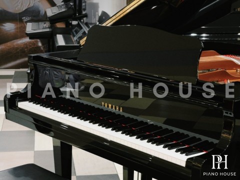 Trải Nghiệm YAMAHA GB1K PE (USED)