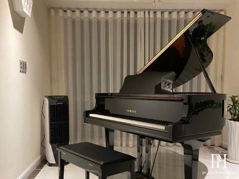 YAMAHA GC1 PE