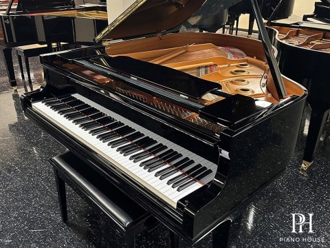 YAMAHA GC1 PE