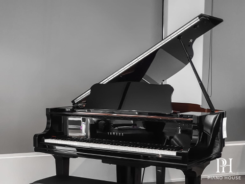 YAMAHA GC2 PE