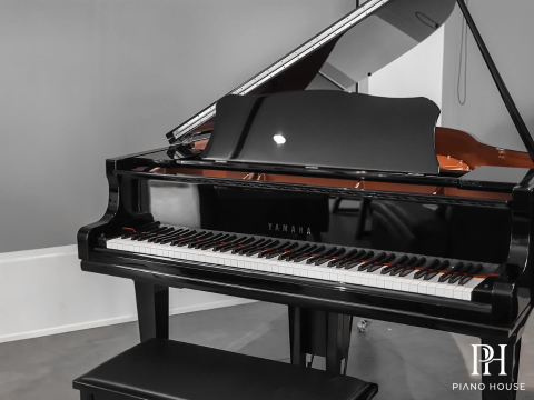 YAMAHA GC2 PE