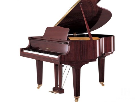 YAMAHA GB1K PM - Review Chi Tiết
