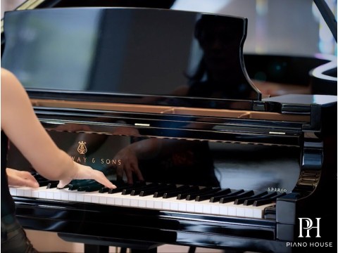 STEINWAY MODEL B-211 Spirio | r