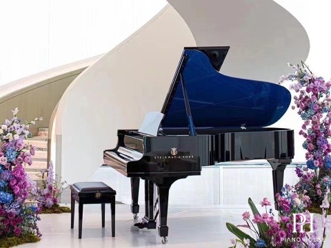 Steinway B-211