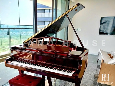 Wendl & Lung Mod.151 Professional III