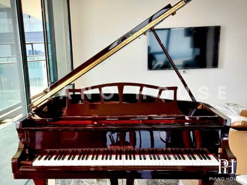 Wendl & Lung Mod.151 Professional III
