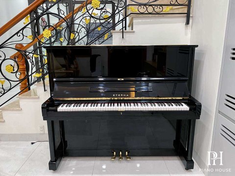 ETERNA UP35