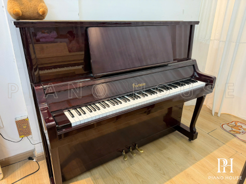 PRUTHNER 100-S