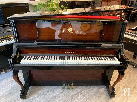 BEHNING DX-1S
