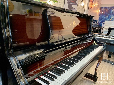 BEHNING DX-1S