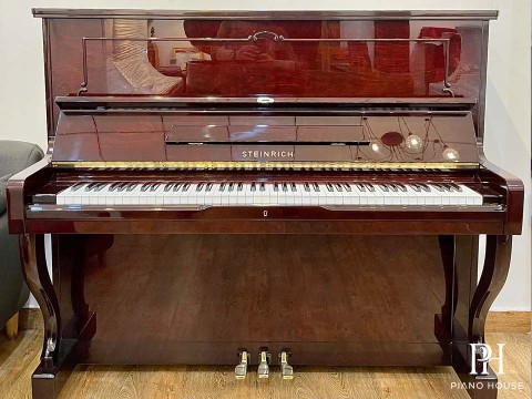 STEINRICH S17