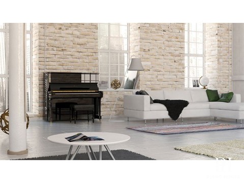 STEINWAY K-132