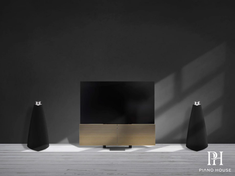Loa B&O Beolab 20