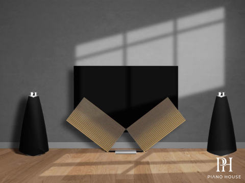 Loa B&O Beolab 20
