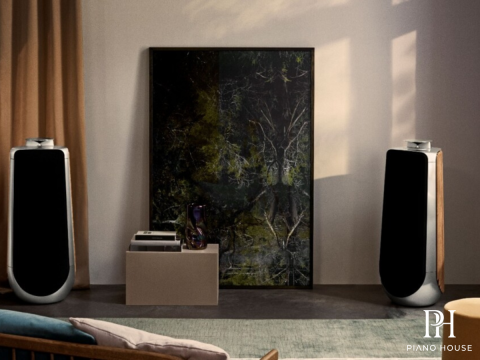 Loa B&O Beolab 50 (USED)