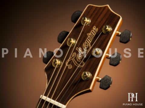 Takamine GN93CE