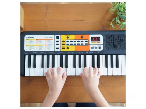 Yamaha F30