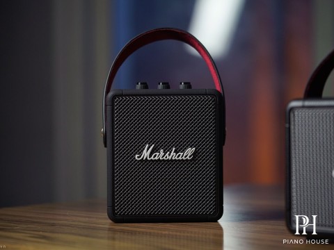 Marshall Stockwell 2