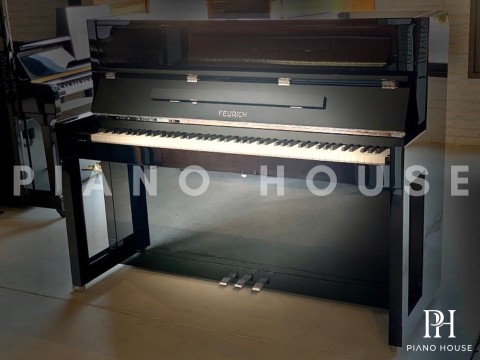 FEURICH 115 Premiere (Black Polished)