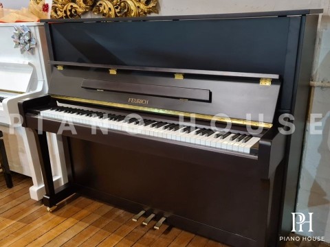 FEURICH 122 Universal (Black Satin - Brass)
