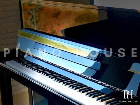 FEURICH 125 Design
