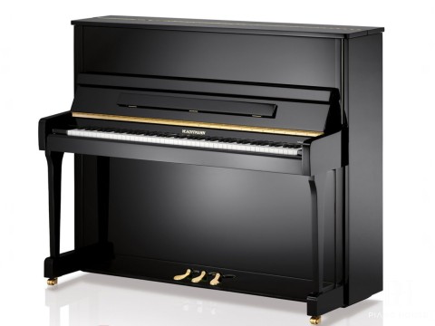 V4 (W.HOFFMANN VISION)