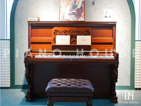 Pleyel P131R-HOMS
