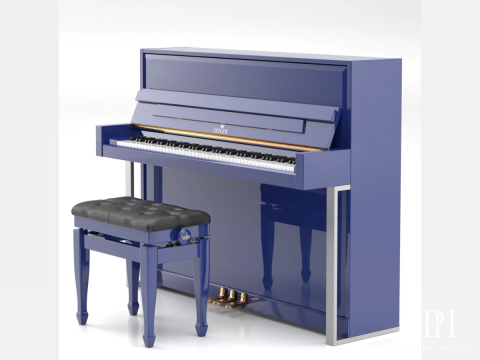 SE-116 ACCENT
