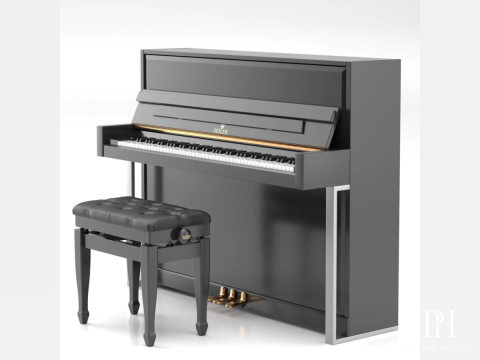 SE-116 ACCENT