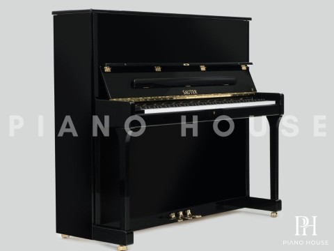 Sauter Carus 130