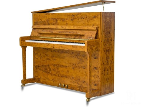 Sauter Ragazza 122 (Polished Bright Yew)