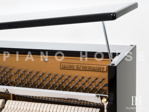 Sauter Ragazza 122 (Cherrywood Satin)