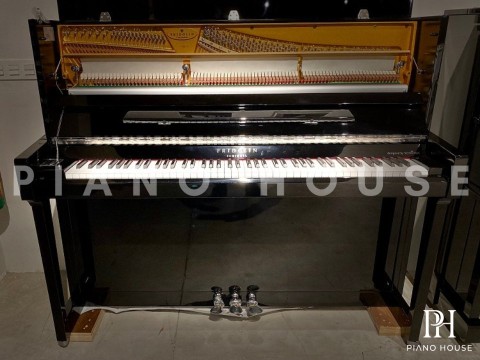 Fridolin Schimmel F130 Tradition (Ebony High Gloss)