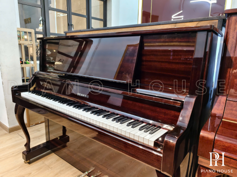 BEHNING DX-1