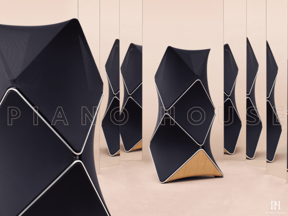 Loa B&O Beolab 90 Black (NEW)