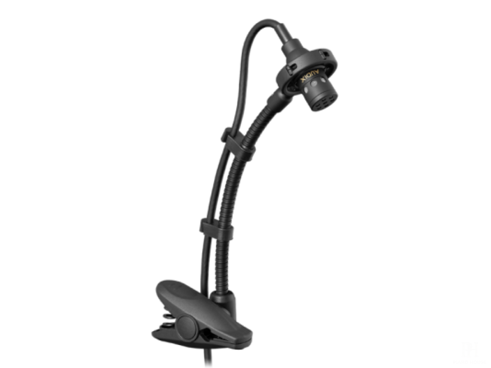 AUDIX ADX20iP