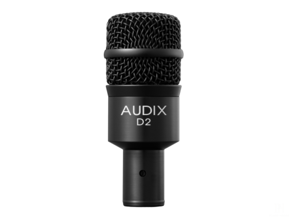 AUDIX D2