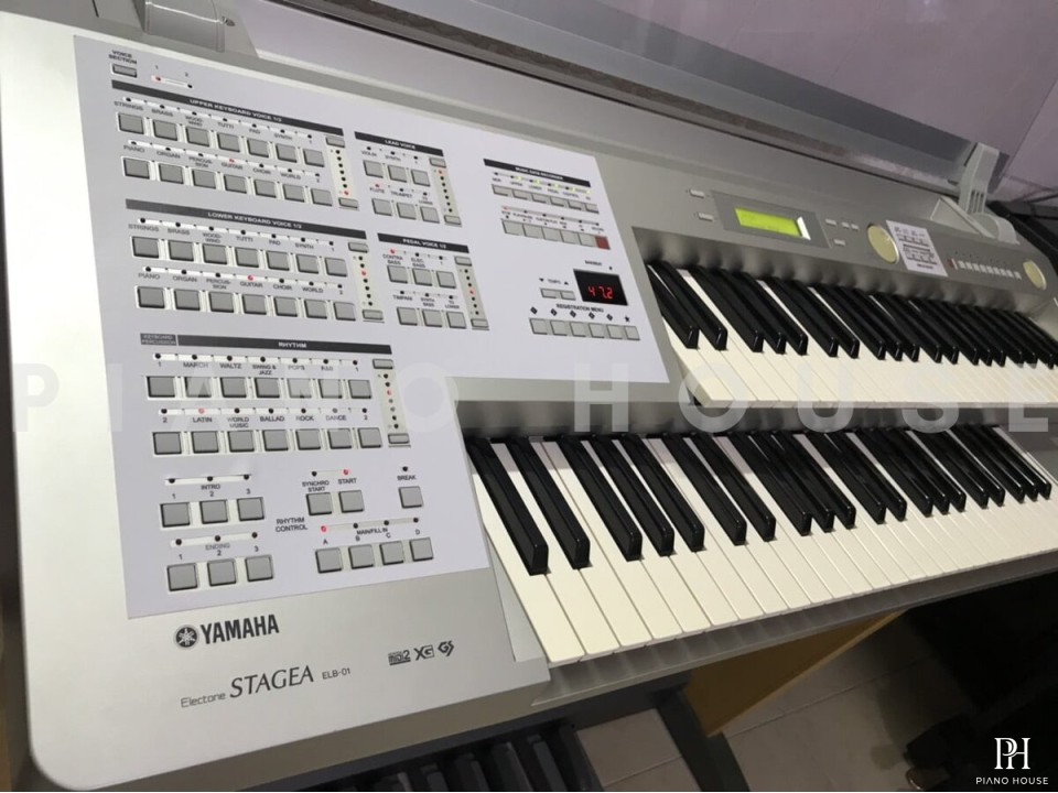 YAMAHA ELB-01